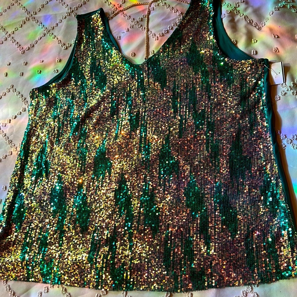 Sequin blouse